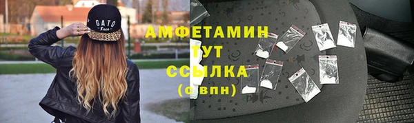 скорость Вяземский