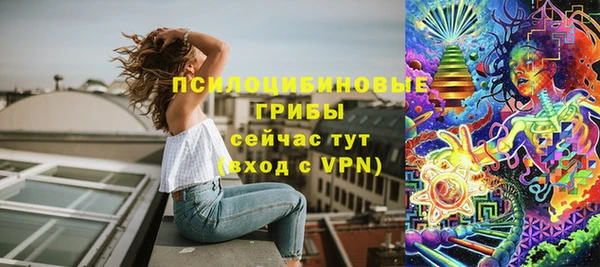 скорость Вяземский