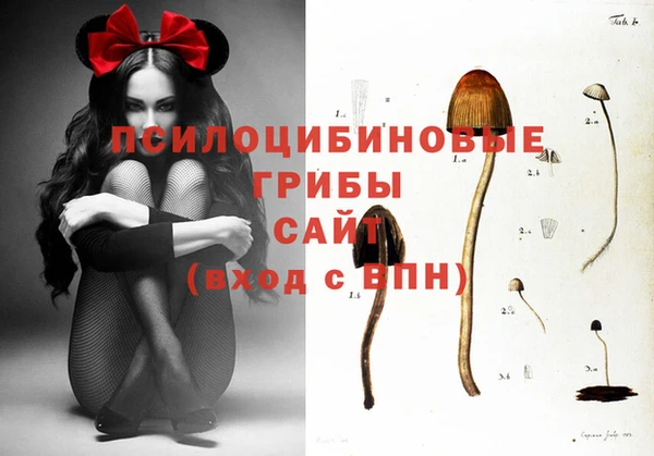 амф Вязники