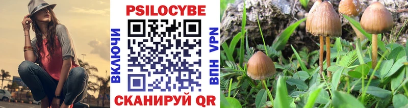 Галлюциногенные грибы Psilocybe  Купить  Крымск 